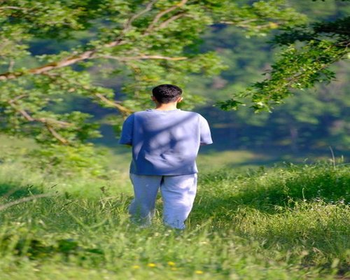 Afternoon walk in a calm green environment