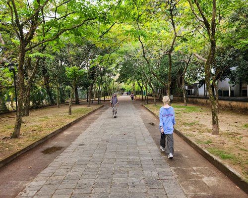 A quiet walk through an Indonesian city park